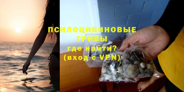mix Белокуриха
