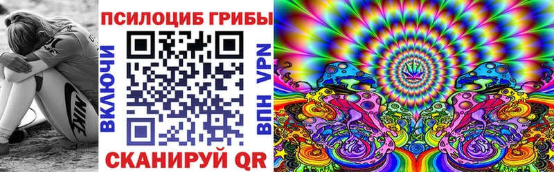 Псилоцибиновые грибы Psilocybe Мглин